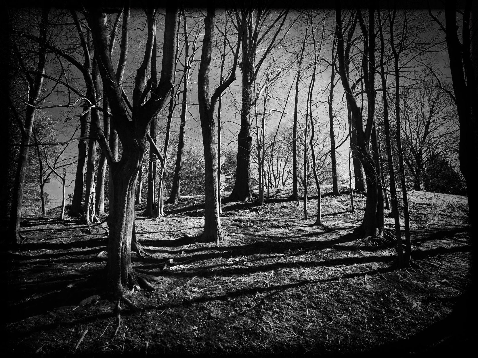 Fort Hill 6.JPG